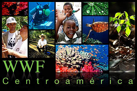 Collage of pictures from the Central America region. / ©: WWF/Jeffrey Muñoz rel=