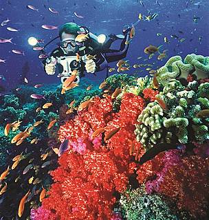 © WWF-SPPO
© WWF-SPPO