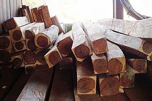 Confiscated illegally logged luxury wood at Nam Ram ranger-outpost in Mondulkiri Protected Forest ...
© WWF-Cambodia / Rohit Singh
© WWF-Cambodia / Rohit Singh