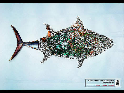 Fish / fishing net. WWF Spain
© WWF rel=