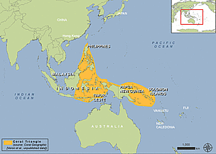 Map of the Coral triangle
© WWF Global
© WWF Global