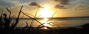 Sunset from uninhabited Cosmeledo. An island just north of Madagascar. Part of the Seychelles
© WWF
© WWF