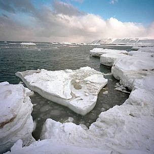 The Arctic: an ecoregion
© WWF / Wim VAN PASSEL
© WWF / Wim VAN PASSEL