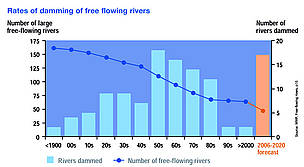 Rates of damming of free-flowing rivers. Click here to enlarge image.
© WWF Rates of damming of free flowing rivers.
© WWF