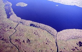 Aerial view of the Danube Delta. The delta is one of the world’s most valuable wetland areas, home ...
© WWF / A. Vorauer
© WWF / A. Vorauer