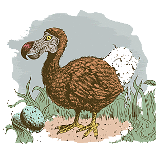 The dodo (Raphus cucullatus) was a flightless bird endemic to the Indian Ocean island of Mauritius. ...
© iStockPhoto / iScream Creative
© iStockPhoto / iScream Creative
