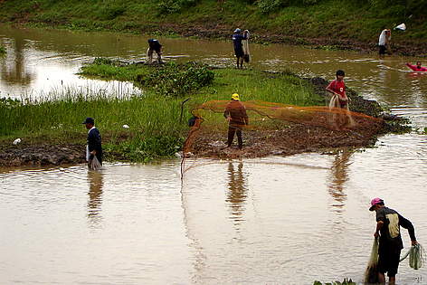 การทำประมงรอบพื้นที่ชุ่มน้ำ
© WWF Thailand rel=
