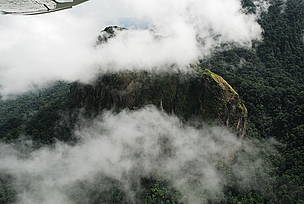 A peculiar feature of the the Cameroonian highlands forest is that it is almost always covered in ... / ©: WWFCARPO/ CFP / ©: WWFCARPO/ CFP