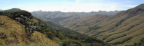 Western Ghats, India.
© Ameen Ahmed rel=
