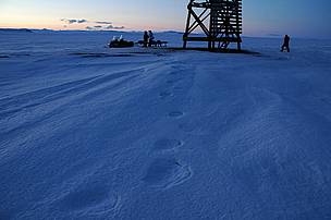 Polar bear tracks. Chukotka, Russia.
© Tom Arnbom Polar bear tracks. Chukotka, Russia.
© Tom Arnbom