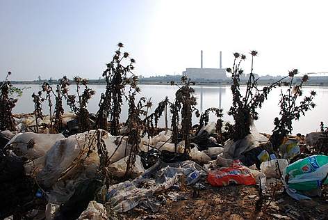Les pollutions du Sebou menacent la biodiversité et la ressource en eau de 6,2 millions de Marocains
© MedPO/ WWF rel=