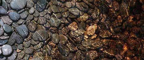 South Island, New Zealand. River bed, the redish color is due to minerals in the water. Okarito, ...
© WWF / Stéfane MAURIS South Island, New Zealand. River bed, the redish color is due to minerals in the water. Okarito, ... rel=