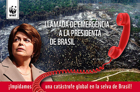 Llamada de Emergencia de Brasil
© WWF rel=