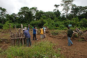Entretien d'unverger par les populations.
© DACEFI-2
© DACEFI-2