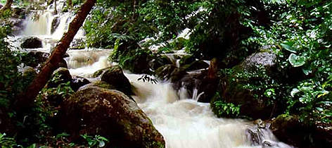 Conservando los bosques en las montañas, el Programa de Agua Dulce asegura que haya suficiente agua ... / ©: WWF / Peter ROCKSTROK rel=
