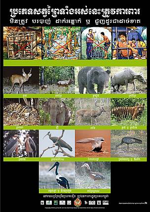 Endangered Species Poster