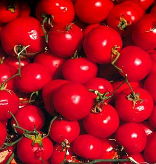 The study has found perchlorate in red tomatoes, apricots, green grapes and asparagus, amongst ...
© WWF
© WWF