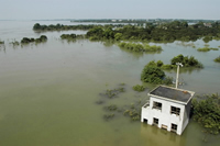 Environmentally destructive activities like deforestation increase the risks of floods.
© WWF / Michel Gunther
© WWF / Michel Gunther