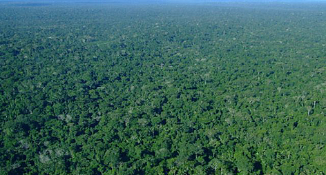 © WWF Spain rel=
