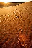 Our ecological footprint – that is the impact of humanity on the earth – has increased two and half fold since 1961.