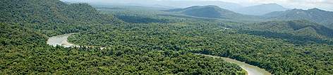 The rainforests of New Guinea are the 3rd largest in the world after the Amazon and Congo. East ...
© Brent Stirton / Getty Images / WWF-UK rel=
