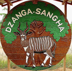 Dzanga-Sangha billboard
© Chloé Cipolletta
© Chloé Cipolletta