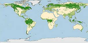 G200 Forest Map
© WWF G200 Forest Map
© WWF