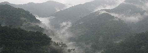 The misty mountains of Kuiburi National Park in Kayah Karen Tenasserim ecoregion, Thailand, near ...
© Supol Jitvijak / WWF Greater Mekong rel=