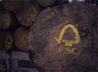 FSC logo painted on sustainably harvested logs.
© WWF / N.C. Turner
© WWF / N.C. Turner