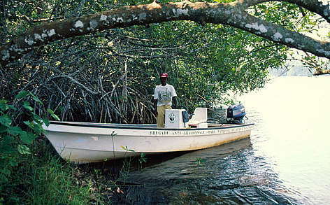 Gamba Reserve complex, anti-poaching patrol. Gabon / ©: © Meg Gawler / WWF-Canon rel=