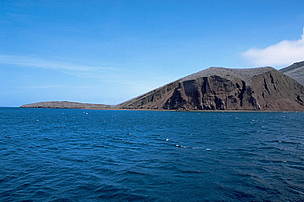 Galapagos Islands, Ecuador.
© WWF / WWF-Japan/Ozaki Haruko Galapagos Islands, Ecuador.
© WWF / WWF-Japan/Ozaki Haruko
