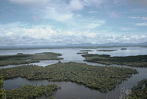 Danau (Lake) Sentarum, wetland in Indonesia, Asia.
© WWF / Jikkie JONKMAN Danau (Lake) Sentarum, wetland in Indonesia, Asia.
© WWF / Jikkie JONKMAN