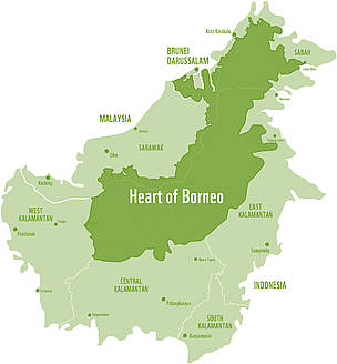 Heart of Borneo boundary map
© WWF
© WWF