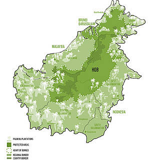 Map of palm oil plantations in the Heart of Borneo
© WWF
© WWF