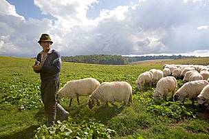 © Michel Gunther / WWF © Michel Gunther / WWF Shepherd looking after his sheep, Gradistea Muncelului Cioclovina Nature Park, Carpathian Mountains, south-west Romania.