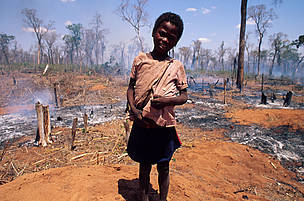 On estime que les émissions de gaz à effet de serre dues à la déforestation représentent environ ...
© Credit: WWF / John E. Newby
© Credit: WWF / John E. Newby