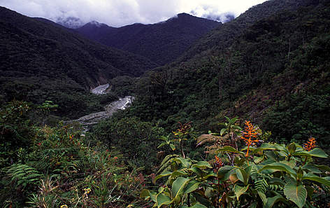 Parque Nacional río Abiseo / ©: André Bârtschi / WWF rel=