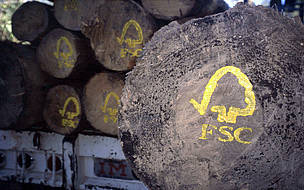 Лісова сертифікація FSC.
© N.C Turner/WWF
© N.C Turner/WWF