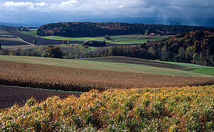 The RSB seeks to raise awareness as to which biofuels are suitable for exploitation for energy production.