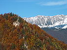 Autumn in the Romanian Carpathians/George Dinicu, WWF DCP