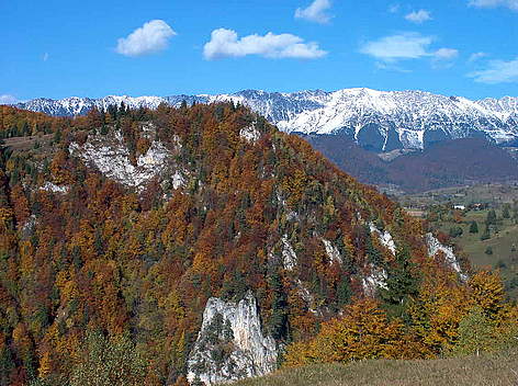 High nature value forests are still intact in some areas of the Carpathians
© George Dinicu, WWF DCP rel=