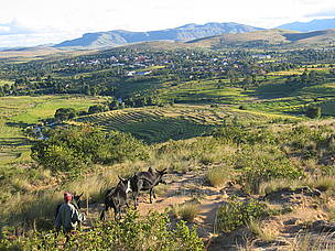 Le village d'Ivohibe et ses environs.
© Olivier van Bogaert
© Olivier van Bogaert