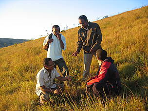 Joël Raveloson, Martial Rakotondrasoa et Diamondra Fananako Andriambololona discutent de ...
© Olivier van Bogaert
© Olivier van Bogaert
