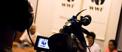 WWF South Pacific press conference
© Matthew Hensby rel=