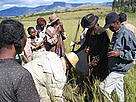 Travaux de reboisement par la communauté locale. Ivohibe, Madagascar.
© WWF / Olivier van Bogaert
© WWF / Olivier van Bogaert