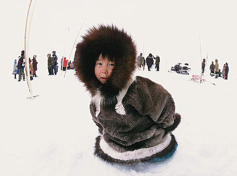 About 4 million people call the Arctic home.
© WWF / Martin Hartley/www.martinhartley.com Changes in the numbers and distributions of food species are deeply alarming to many of these ... rel=