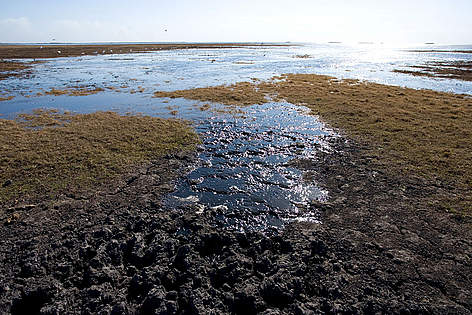 The Kafue Flats floodplain, in the northern section of Lochinvar, has been designated as a World ...
© Martin Harvey / WWF rel=