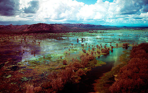 Kakadu National Park Floodplain Alligator River Northern Territory, Australia
© James W. Thorsell / WWF rel=