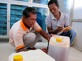 Kalimantan Honey
© WWF
© WWF