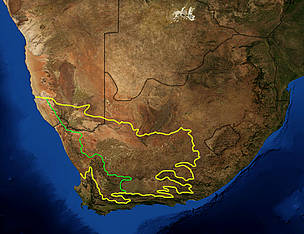 The yellow line encloses the two Karoo ecoregions of southern Africa. The green line separates the ...
© NASA / Wikipedia User: Pfly
© NASA / Wikipedia User: Pfly